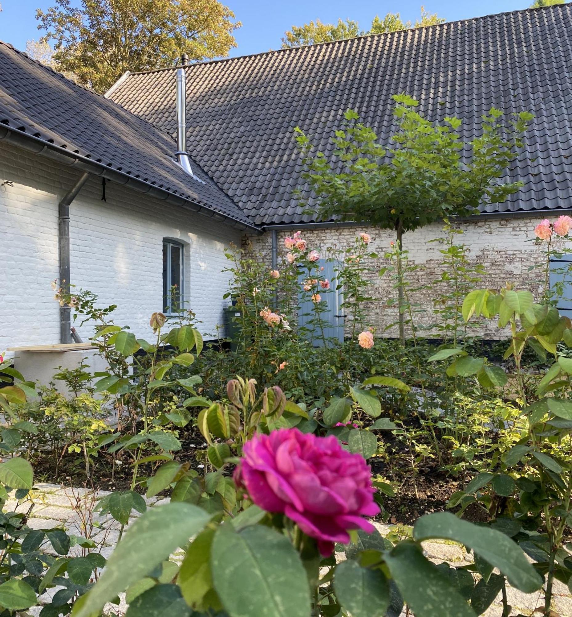 Cottage Landgoed Frymerson Sint Odiliënberg Kültér fotó
