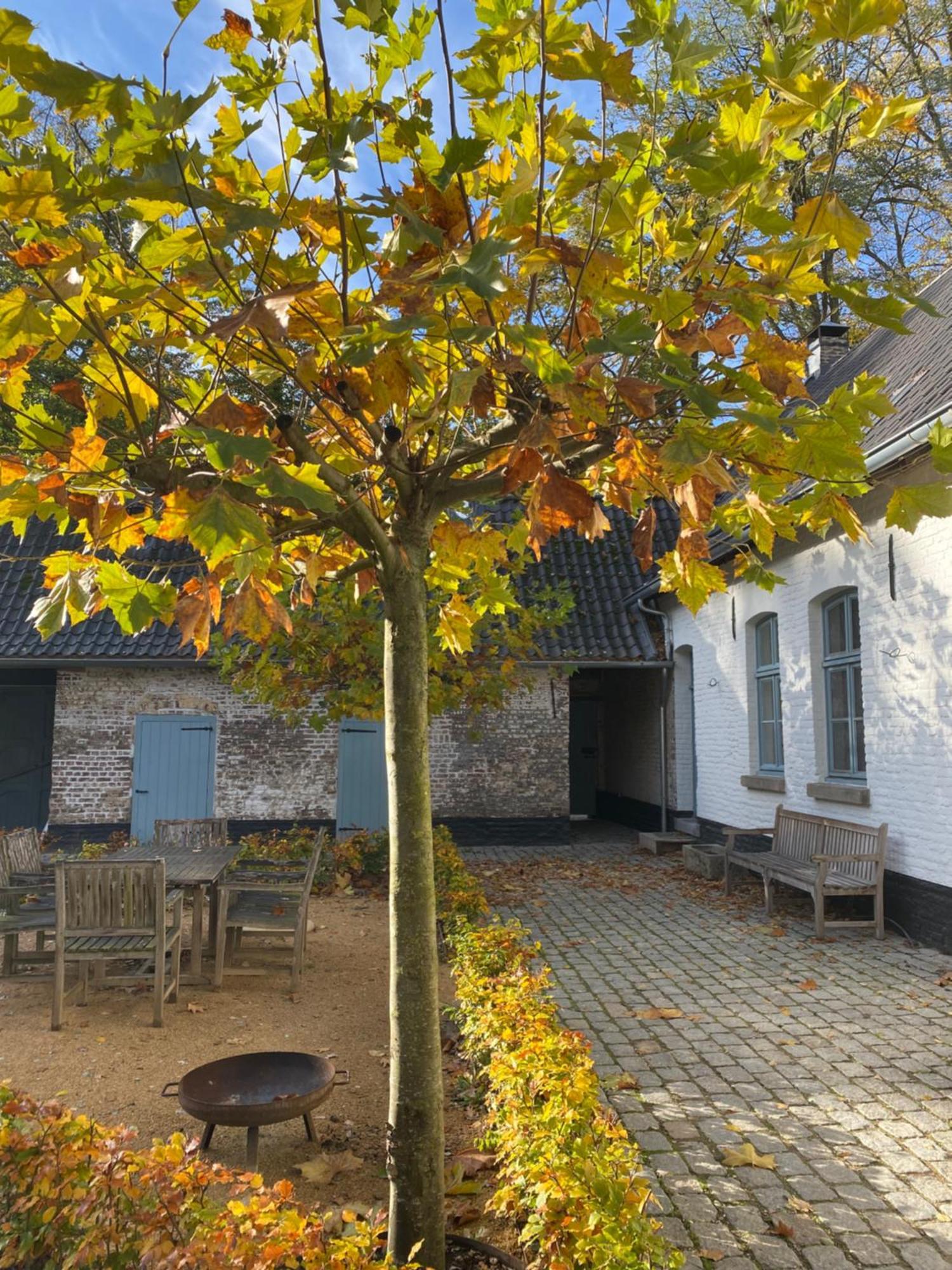 Cottage Landgoed Frymerson Sint Odiliënberg Kültér fotó