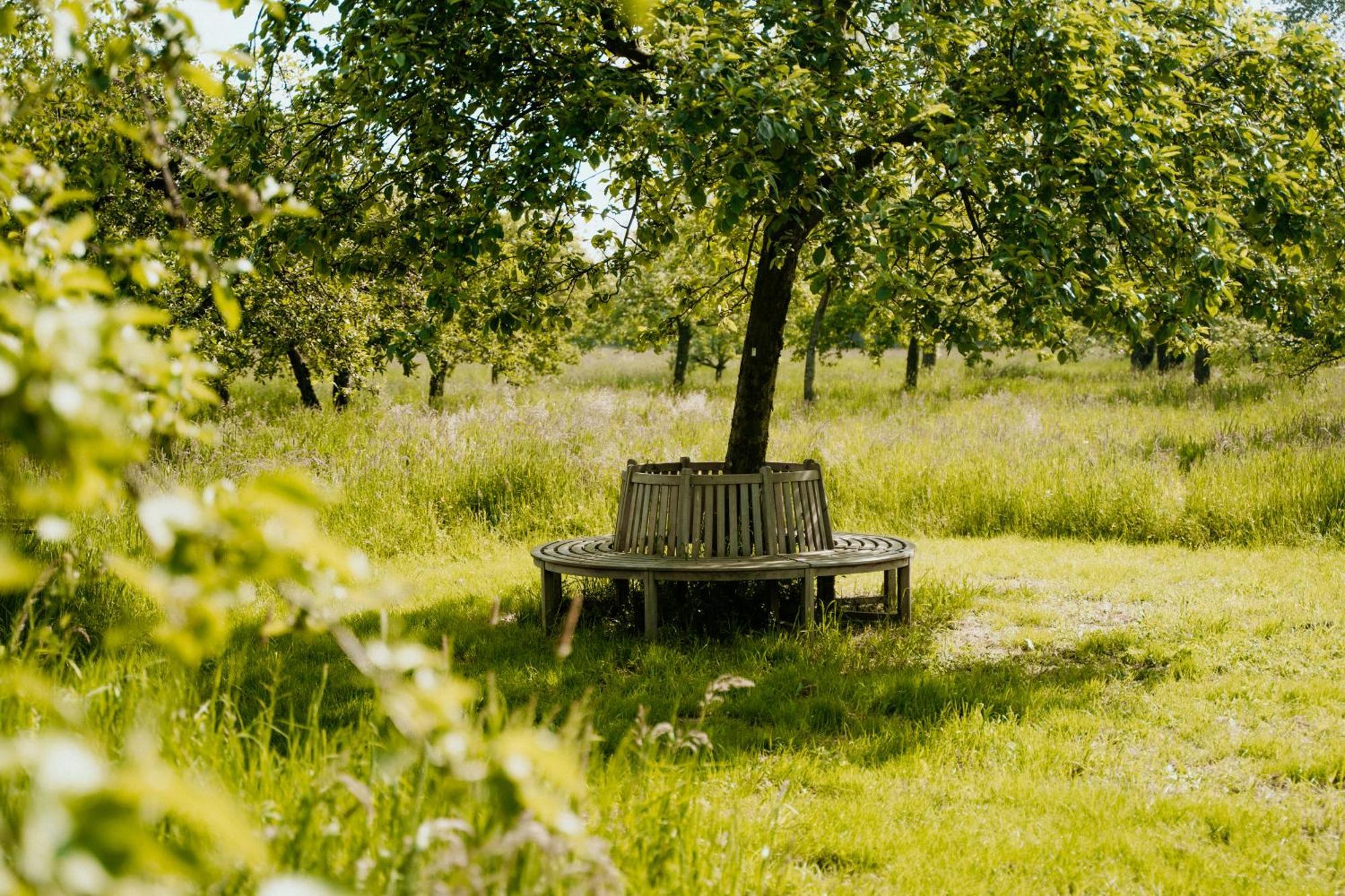 Cottage Landgoed Frymerson Sint Odiliënberg Kültér fotó